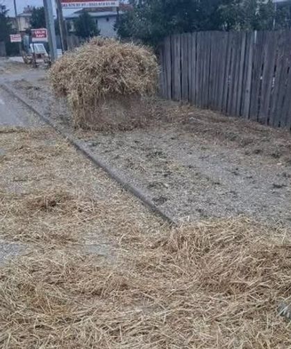 Tırdan devrilen balyalar yayanın üzerine düştü