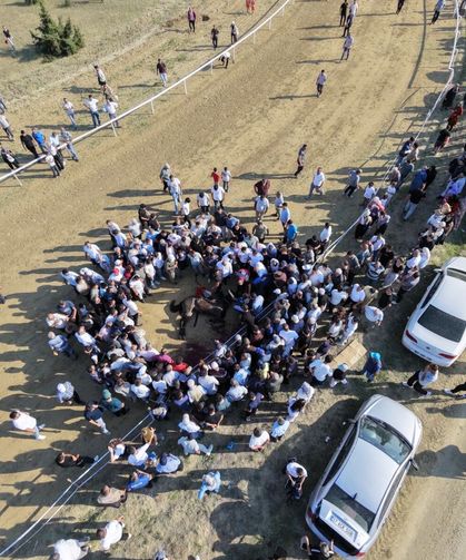 Taşköprü festivali yarışlarında iki at çarpışarak telef oldu