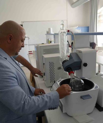 Kanlıca mantarı güneş kremine dönüştü: Patenti alındı!