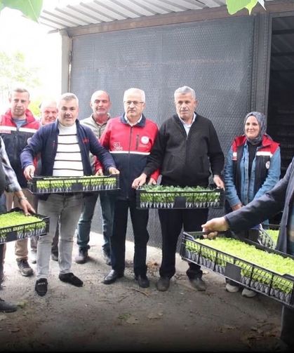 İnebolu’da üretime can suyu: 88 bin 400 fide dağıtıldı