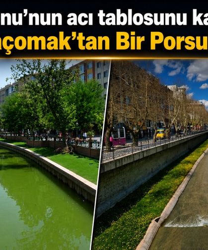Kastamonu’nun acı tablosunu kaleme aldı! "Bin Karaçomak’tan Bir Porsuk Çıkmaz"