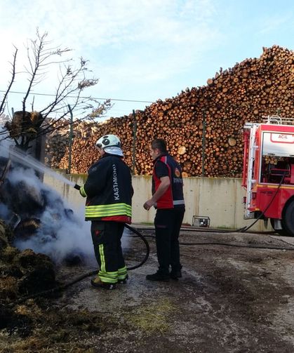 Kastamonu’da alevler 8 bin balyayı yuttu