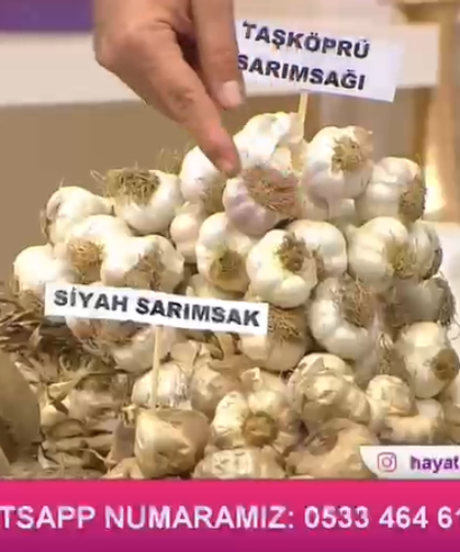 Kastamonu'nun beyaz altını TRT1 ekranlarında boy gösterdi
