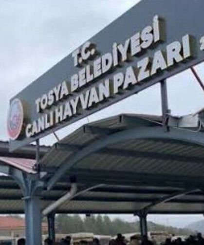 Tosya’da hayvan pazarına şap hastalığı tedbiri