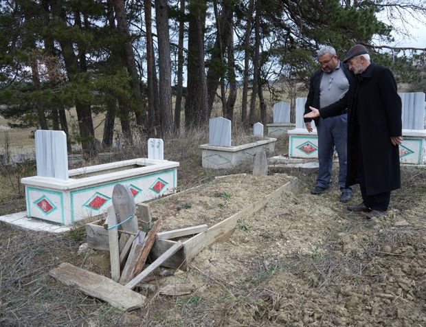 Ayılar, Kastamonu'da mezarları kazmaya başladı
