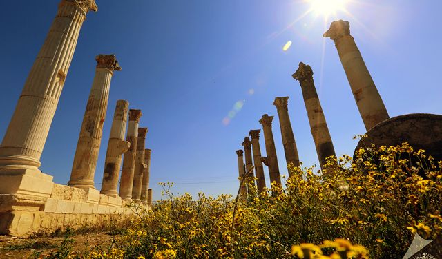 Pompeiopolis Antik Kenti ismini dünyaya film festivaliyle duyuracak