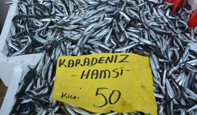 Hamsinin fiyatında düşüş başladı: Kilosu 50 TL