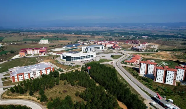 KASTAMONU ÜNİVERSİTESİ KURAKLIĞA DAYANIKLI MERA TOHUMU VE PEYZAJ MALZEMESİ SATIN ALINACAKTIR