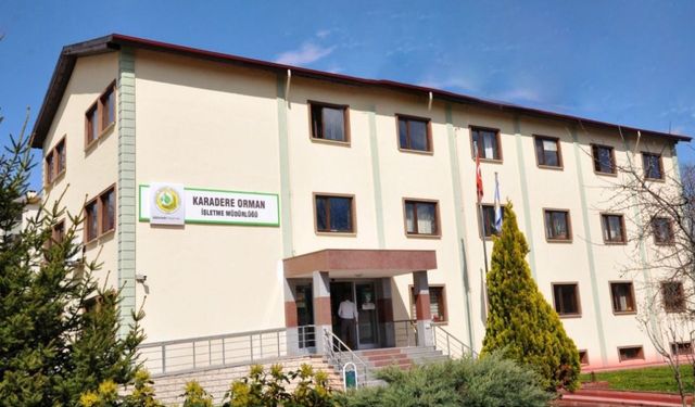 KASTAMONU ORMAN BÖLGE MÜDÜRLÜĞÜ ORMAN YOLUNDA SANAT YAPISI
