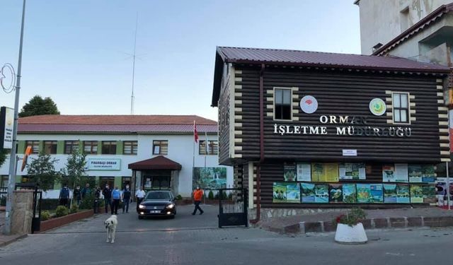 KASTAMONU ORMAN BÖLGE MÜDÜRLÜĞÜ DİKİLİ HACİM TESPİTİ, MESAHA VE VERİM YÜZDESİ TESPİTİ DANIŞMANLIK HİZMETİ ALINACAKTIR