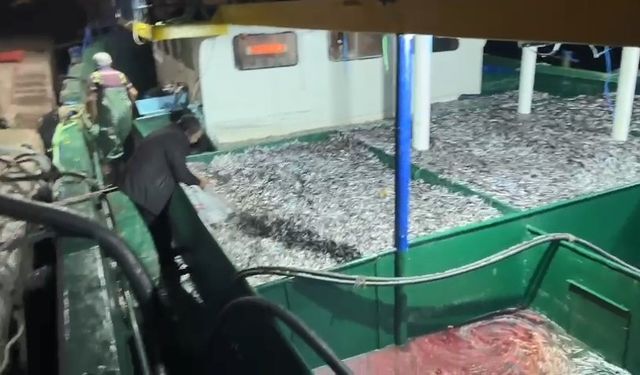 Fırtına sonrası bereket: Balıkçılar tonlarca hamsiyle döndü!