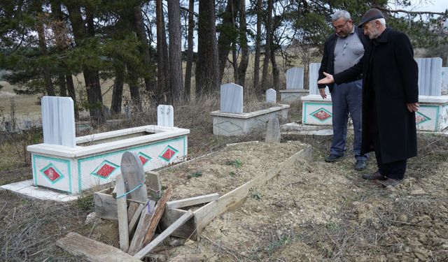 Ayılar, Kastamonu'da mezarları kazmaya başladı