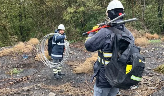 Kastamonu’da 15 Kasım 2024 bugün elektrik kesintisi var mı?