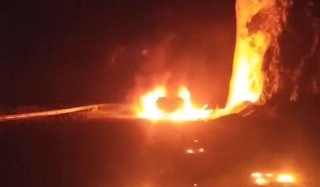 Karabük'te bir tır dorsesi alev alev yandı