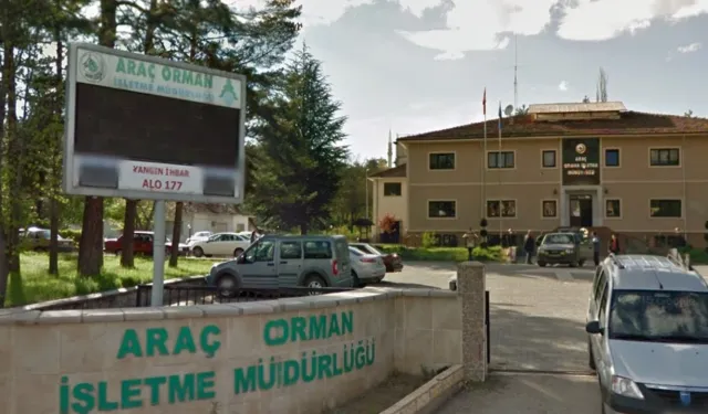 ARAÇ ORMAN İŞLETME MÜDÜRLÜĞÜ ORMAN EMVALİ DEPOLARININ TASNİF DEPOLAMA DANIŞMANLIK HİZMETİ ALINACAKTIR