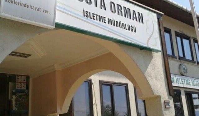 Tosya Orman İşletme Müdürlüğü Taahhüt Yoluyla Üretim Hizmet Alım İşi