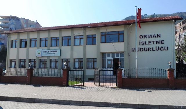 ÇATALZEYTİN ORMAN İŞLETME MÜDÜRLÜĞÜ TESPİT DANIŞMANLIK HİZMETİ ALIMI İŞİ