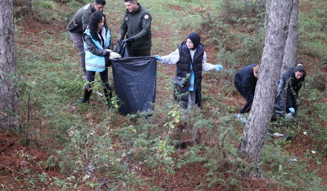 Kastamonu ormanlarından bir kamyon çöp çıktı