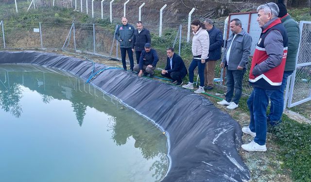 Kastamonu'da aronya bahçeleri su hasadıyla buluştu