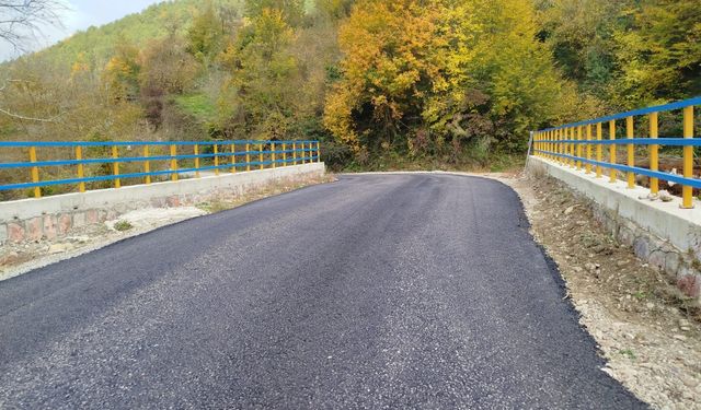 Cide Beşevler Köyünden köprü ve asfalt teşekkürü