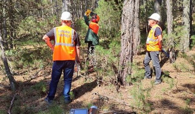 Kastamonu'da orman işçileri belge sınavları sürüyor