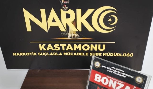 Kastamonu'da ekipler 9 gram bonzai ele geçirdi: 3 GÖZALTI