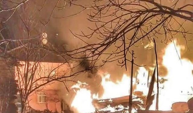 Kastamonu'da alevler evi sardı: Hayvanlar telef oldu!