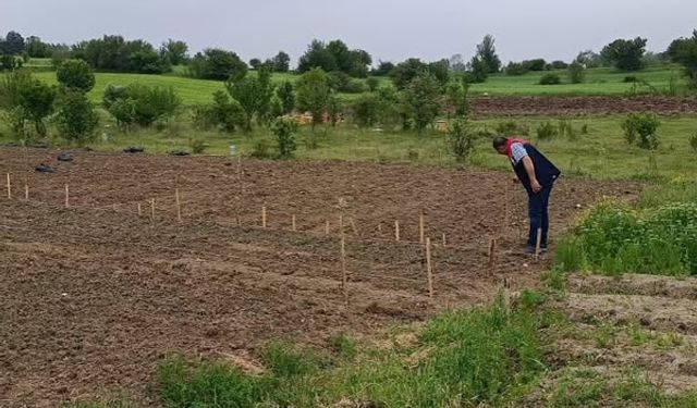 Kastamonu Tarımsal Yatırım Rehberi yayımlandı