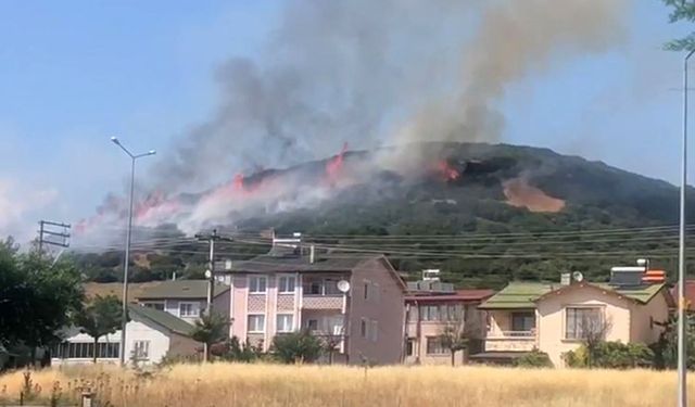 Niksar’da orman yangını, ekiplerin müdahalesi sürüyor