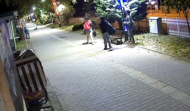 Cide’de aydınlatma direklerine yapılan çirkin saldırı kamerada