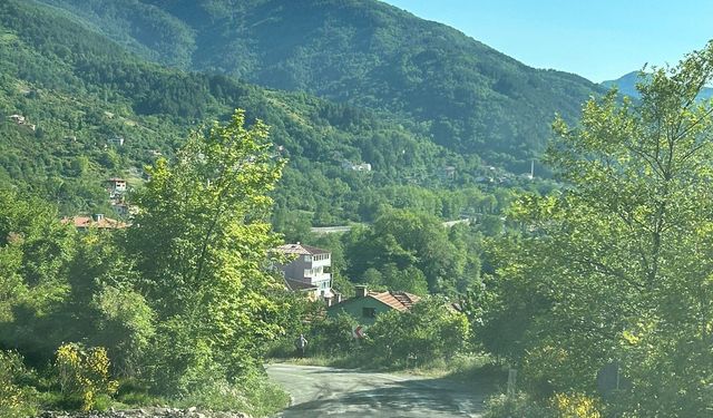 Cide-İnebolu yolunda heyelan ulaşımı durdurdu