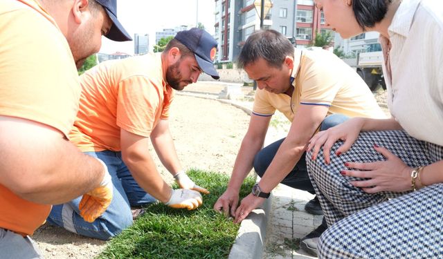 Başkan Baltacı yeşil alanı yerinde inceledi