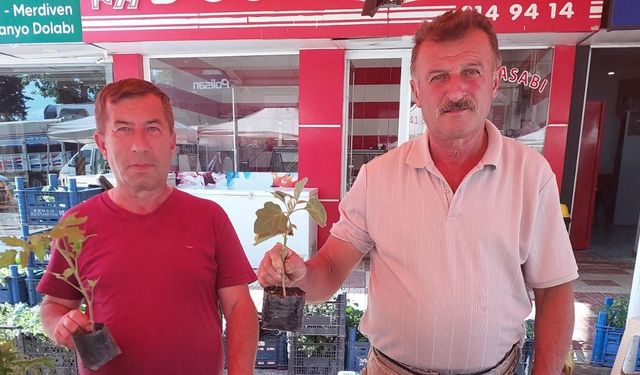 Tarım Müdürlüğü’nün desteği pazarı karıştırdı
