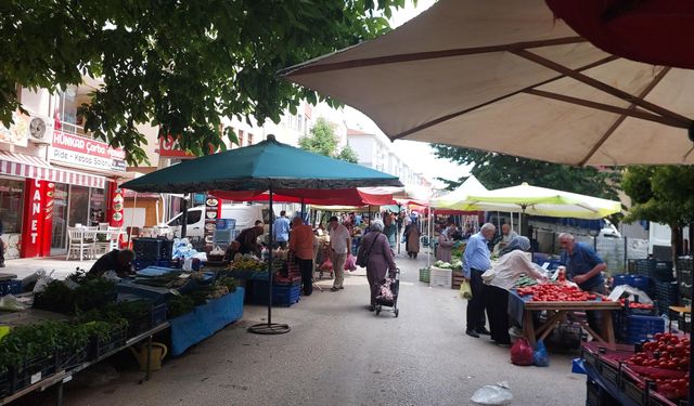 Kastamonu’da köy tavuğu satışına yasak