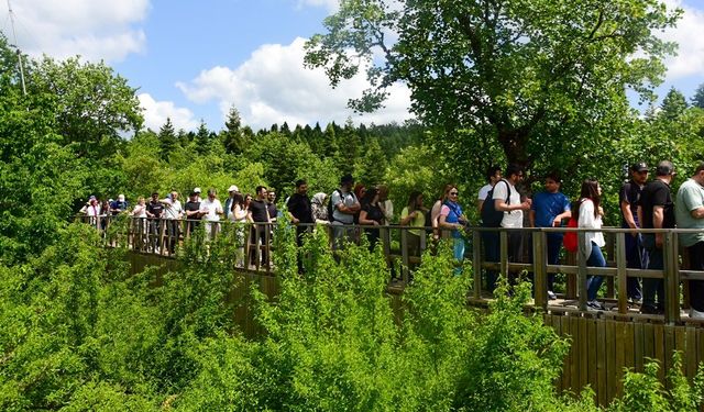 Kastamonu'da yoğun yıla kısa mola!