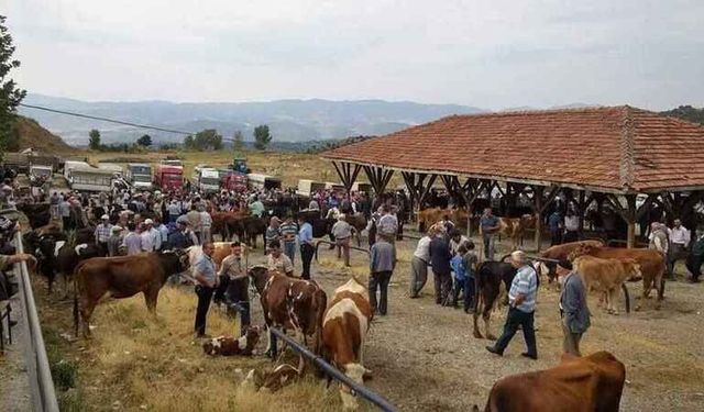 Kastamonu genelinde hayvan pazarları kapatıldı