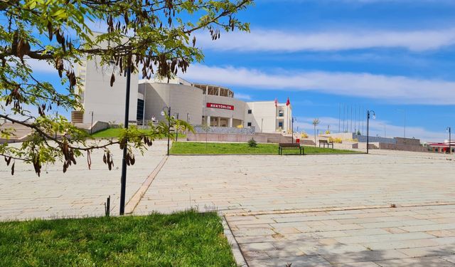 Yapay zekayı toplumsal faydaya dönüştürüyorlar
