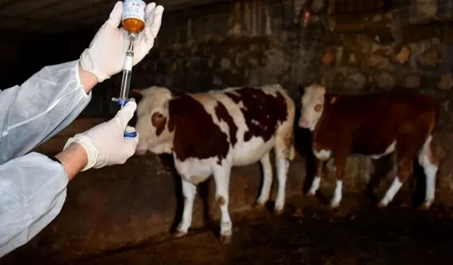 58 köy ve merkez mahallelerde karantina başladı!