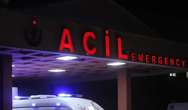 Trabzon’da ağaç kesimi faciayla bitti: 1 ölü
