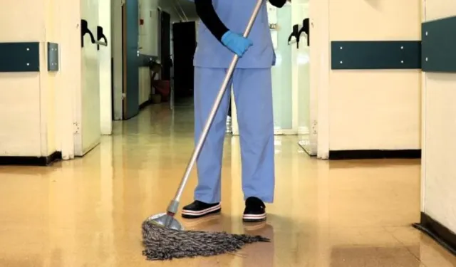 Cide’de iş fırsatı