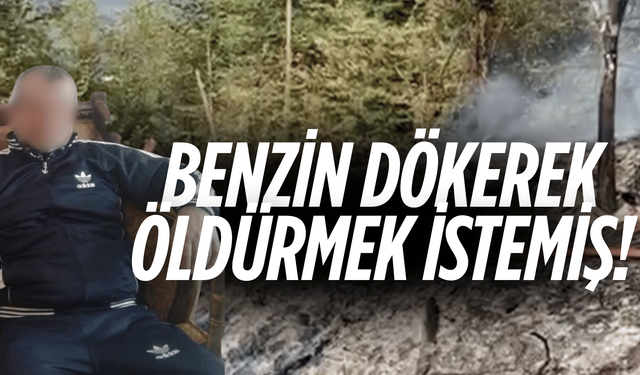 Cide'deki yangında kundaklama iddiası!