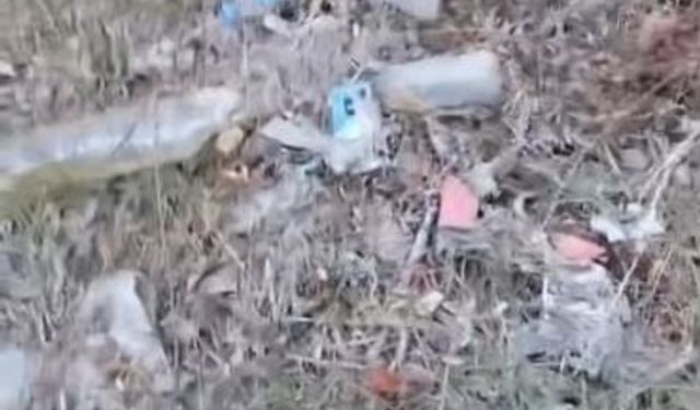 Kastamonu'da biriken çöp yığınları tepki çekti