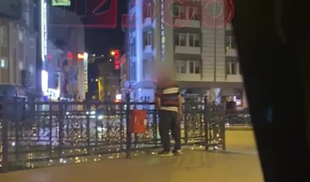 Kastamonu'da pes dedirten olay an be an görüntülendi