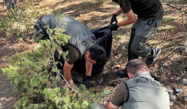 Kastamonu ormanlarında temizlik çalışması sürdürülüyor