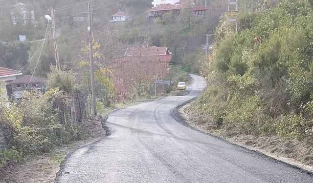 Plent kuruldu, Cide'de sıcak asfaltlama başladı