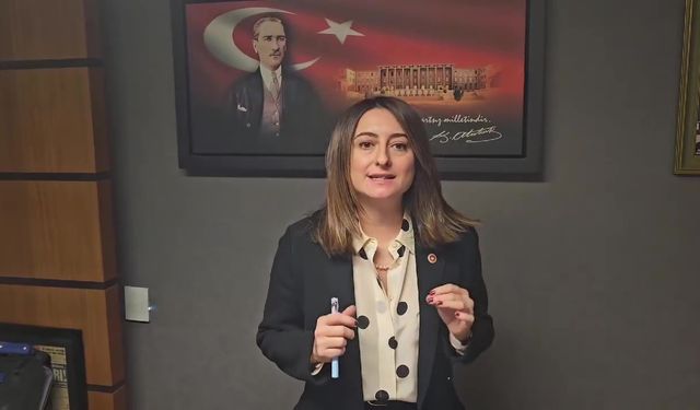 CHP'li Vekilden Kurucaşile-Cide yolu için sert tepki