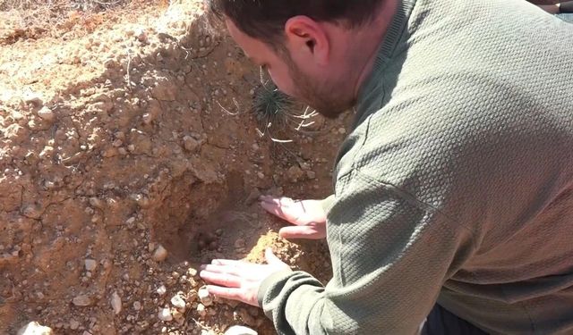 “Türkiye’nin Gücü Orman” Kastamonu’da hayat bulacak