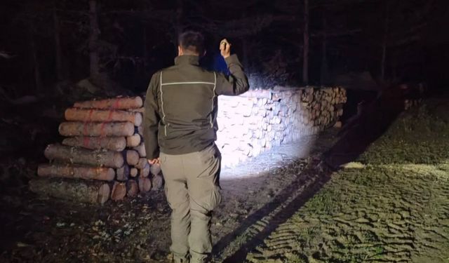 Kastamonu ormanlarında gece denetimi