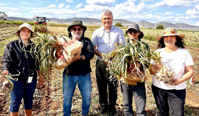 Kastamonu’nun sarımsağına şifa komşu Karabük’ten geldi
