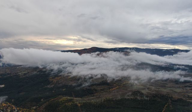 Kastamonu yaylalarında sis ve doğanın buluşması mest etti